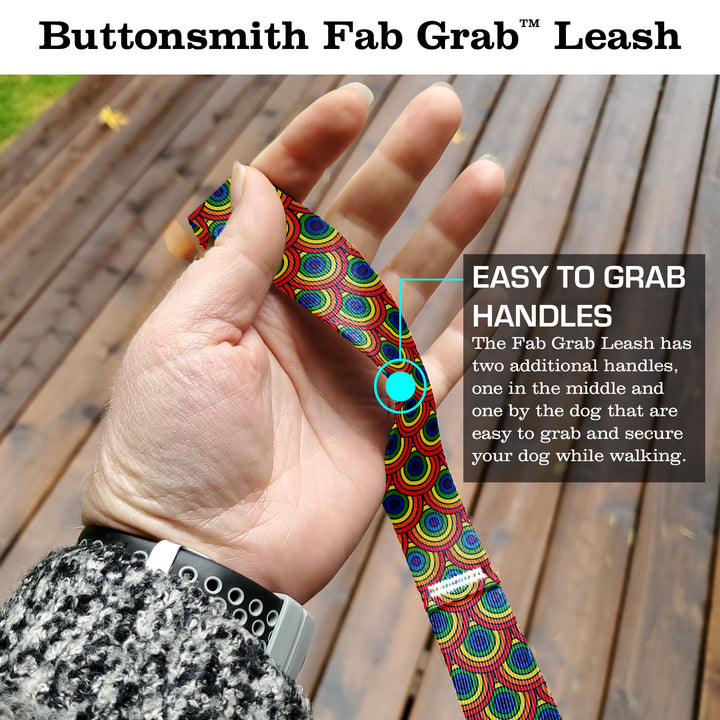 Rainbow Arches Fab Grab Leash - Made in USA