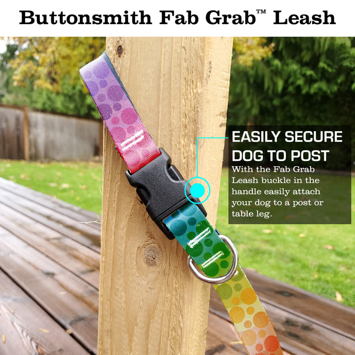 Rainbow Dots Fab Grab Leash - Made in USA