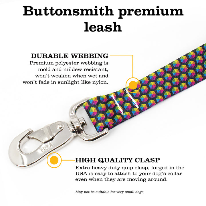 Rainbow Hexes Fab Grab Leash - Made in USA