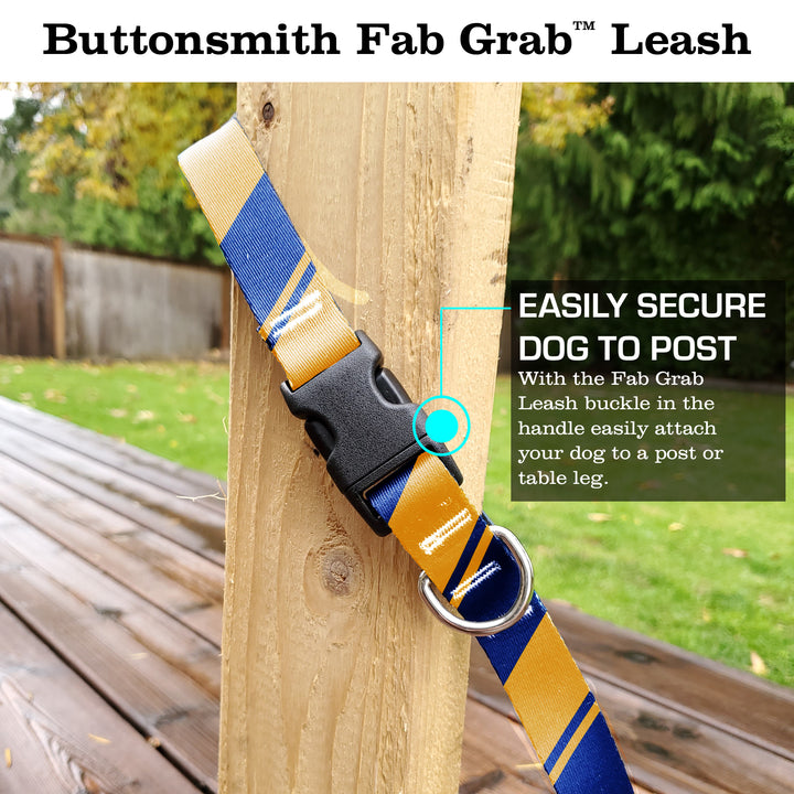 Sporty Blue Yellow Fab Grab Leash - Made in USA