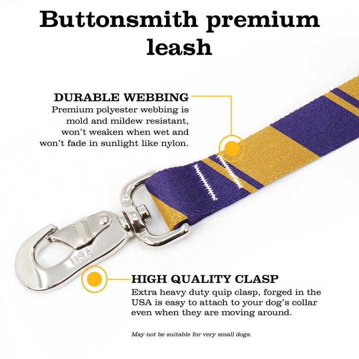 Sporty Purple Gold Fab Grab Leash - Made in USA