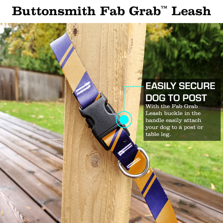 Sporty Purple Gold Fab Grab Leash - Made in USA