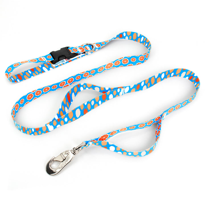 Tangerine Dreams Fab Grab Leash - Made in USA