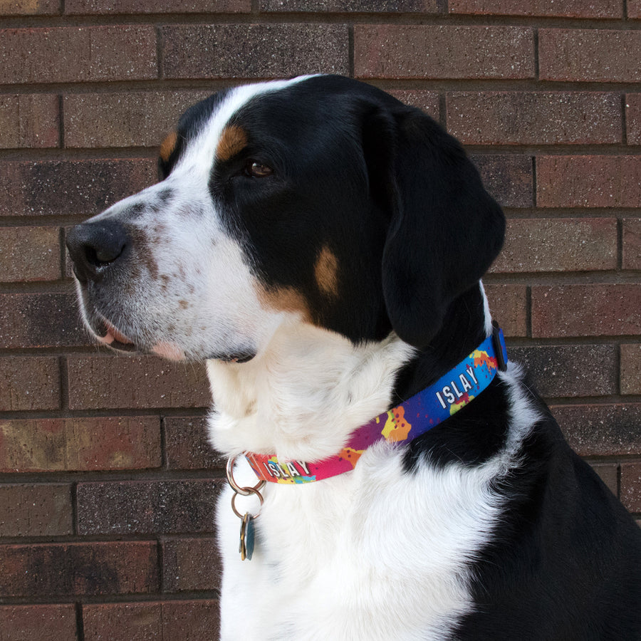 Buttonsmith Design Your Own Dog Collar - Made in USA - Buttonsmith Inc.