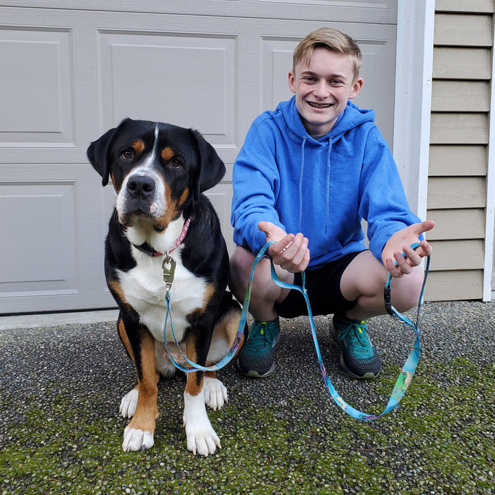 Sporty Maroon Grey Fab Grab Leash - Made in USA