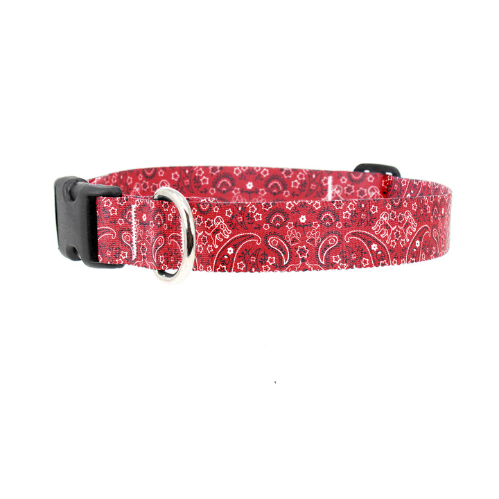 Pupaisley Dog Collar - Made in USA