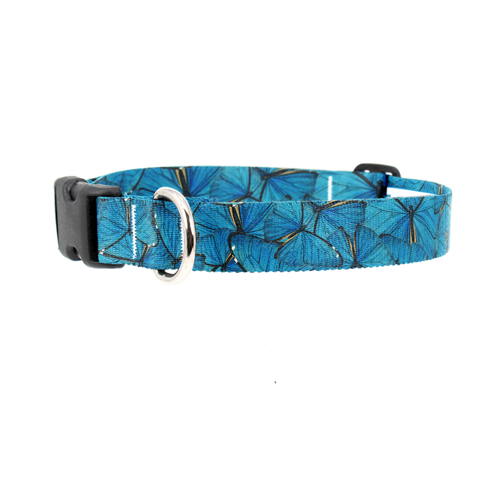 Blue Morpho Dog Collar - Made in USA