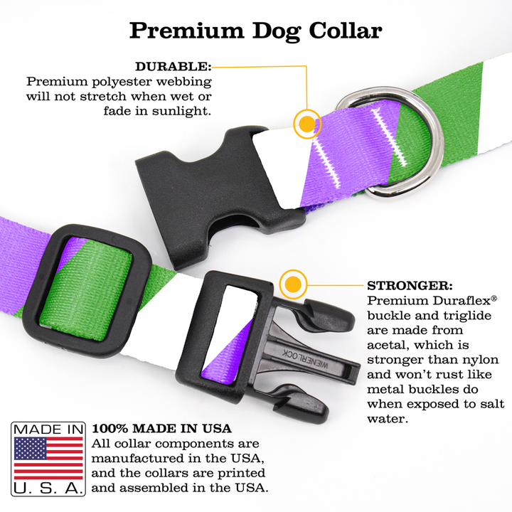 Gender Queer Pride Dog Collar - Made in USA