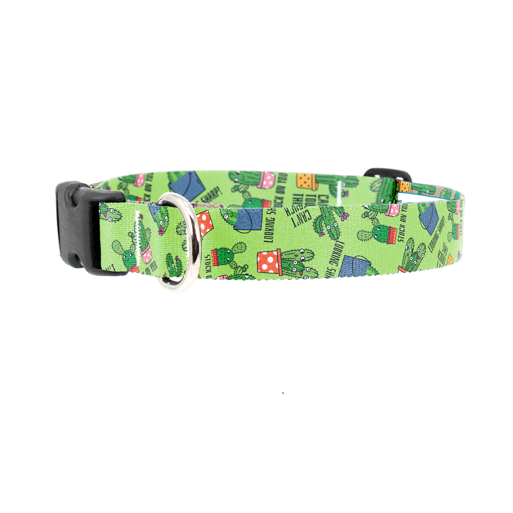 Cutie Cacti Green Dog Collar - Made in USA