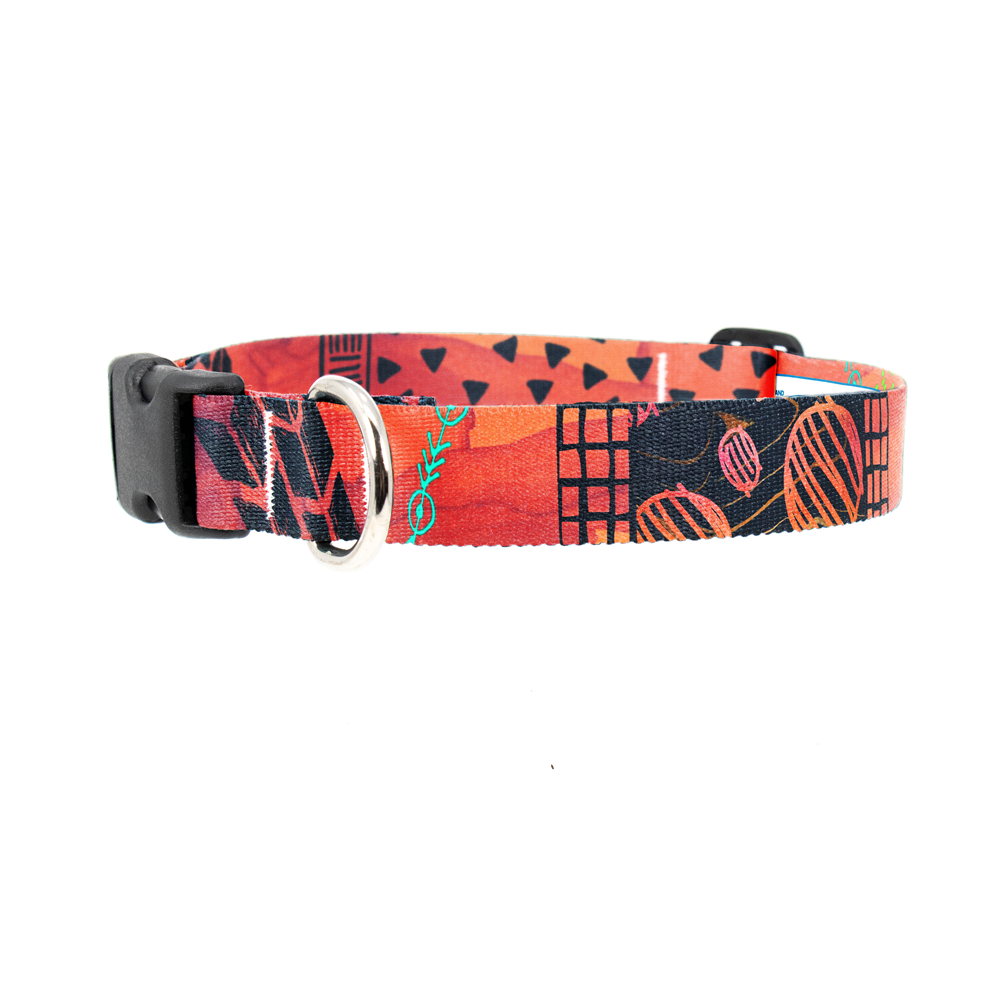 Doodles Dog Collar - Made in USA