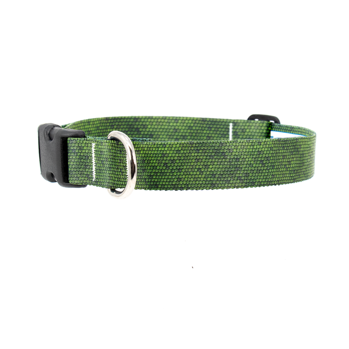 Iguana Dog Collar - Made in USA