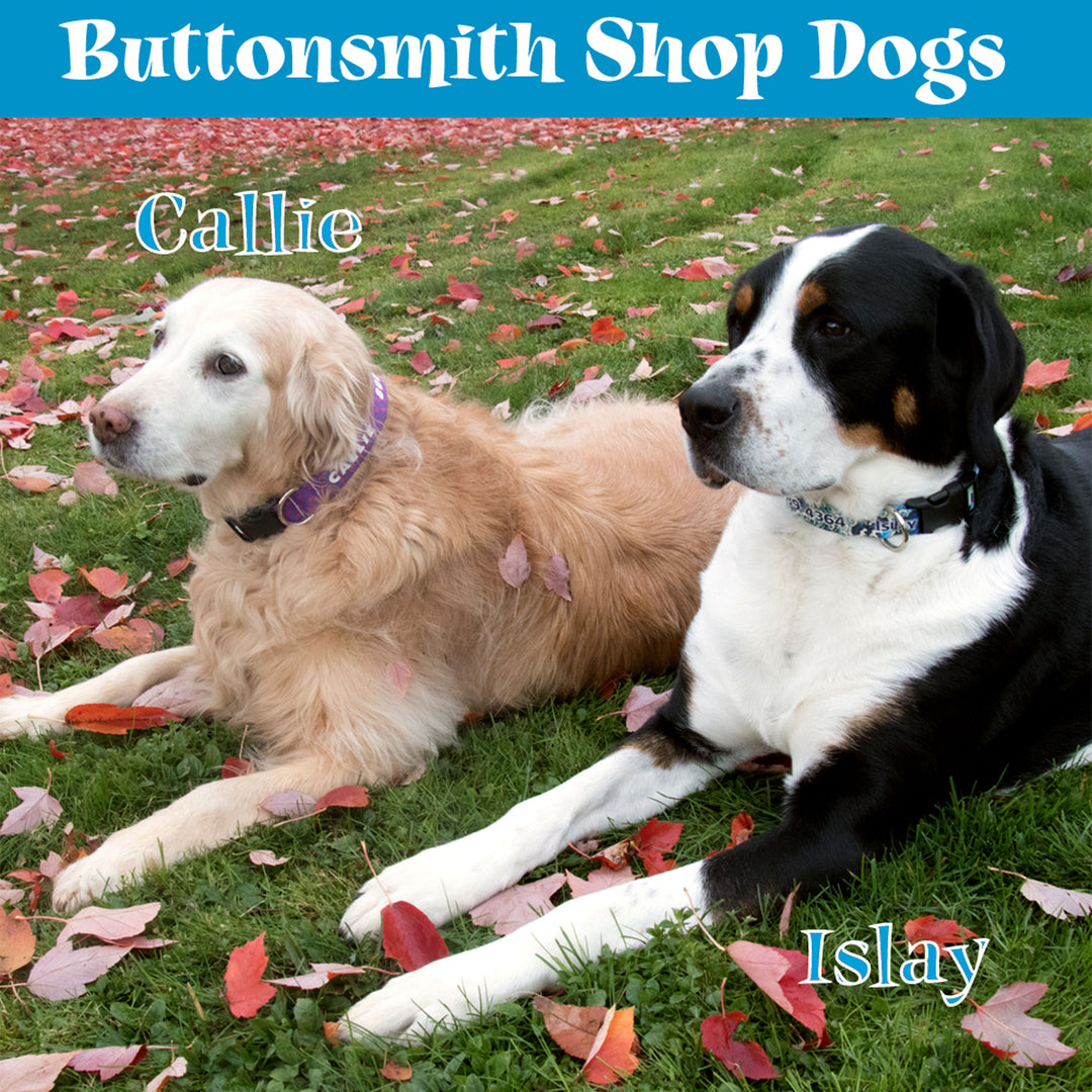 Buttonsmith Golden Santa Dog Collar - Made in the USA - Buttonsmith Inc.