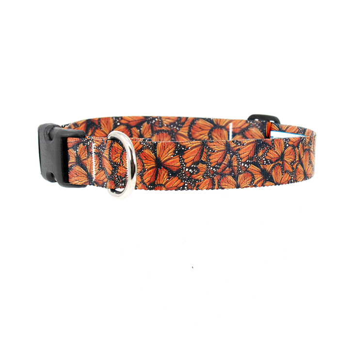 Monarch Dog Collar - Made in USA