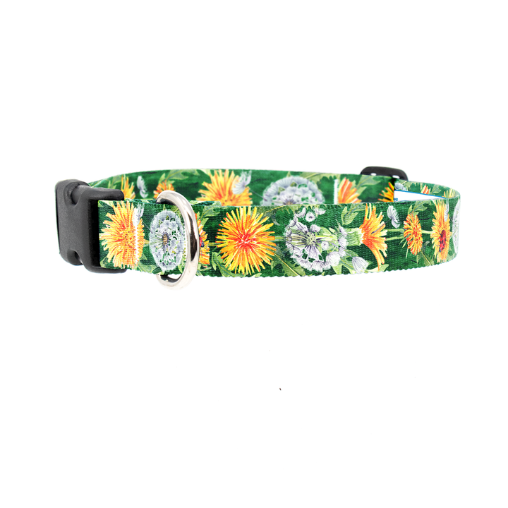 Dandelion Wishes Dog Collar - Made in USA