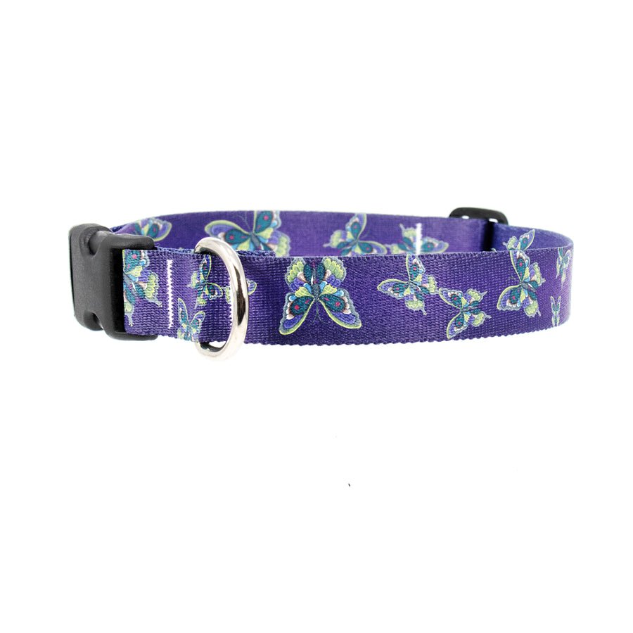 Buttonsmith McGovern Butterflies Dog Collar - Made in the USA - Buttonsmith Inc.