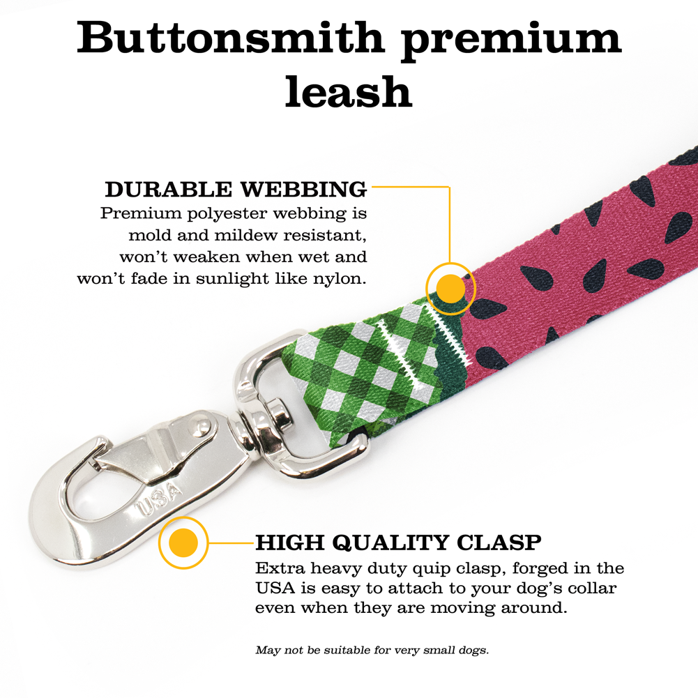 Watermelon Fab Grab Leash - Made in USA