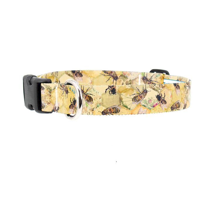 Taste of Honey Dog Collar - Made in USA