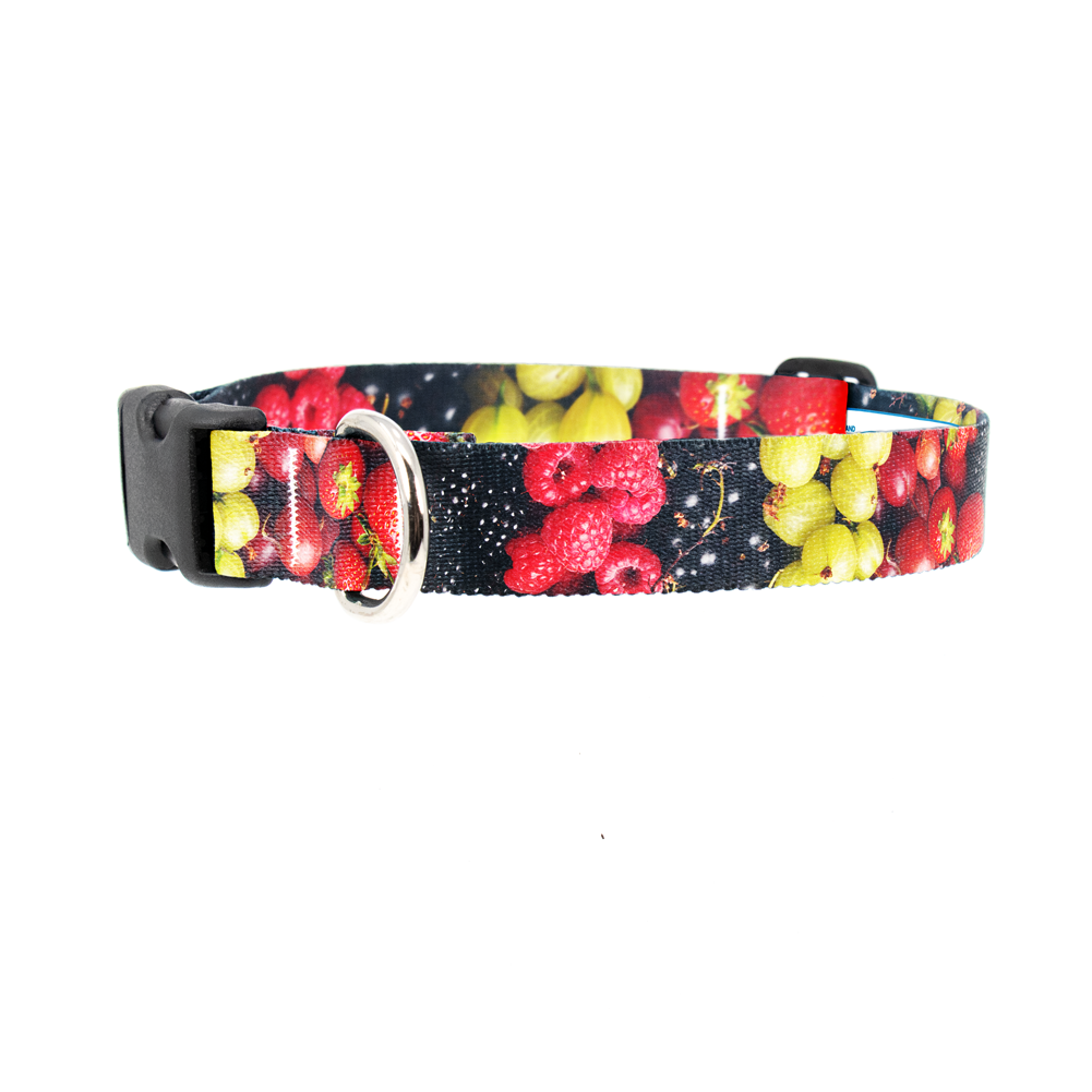 Bijutsu Sekai Floral Dog Collar - Made in USA