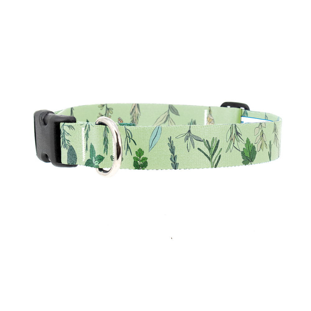 Herbarium Dog Collar - Made in USA