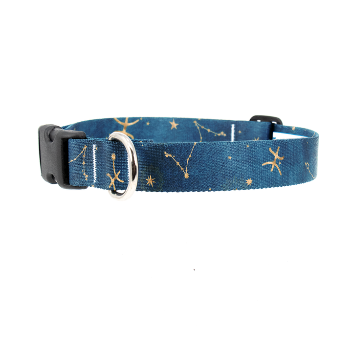 Zodiac Pisces Dog Collar - Made in USA