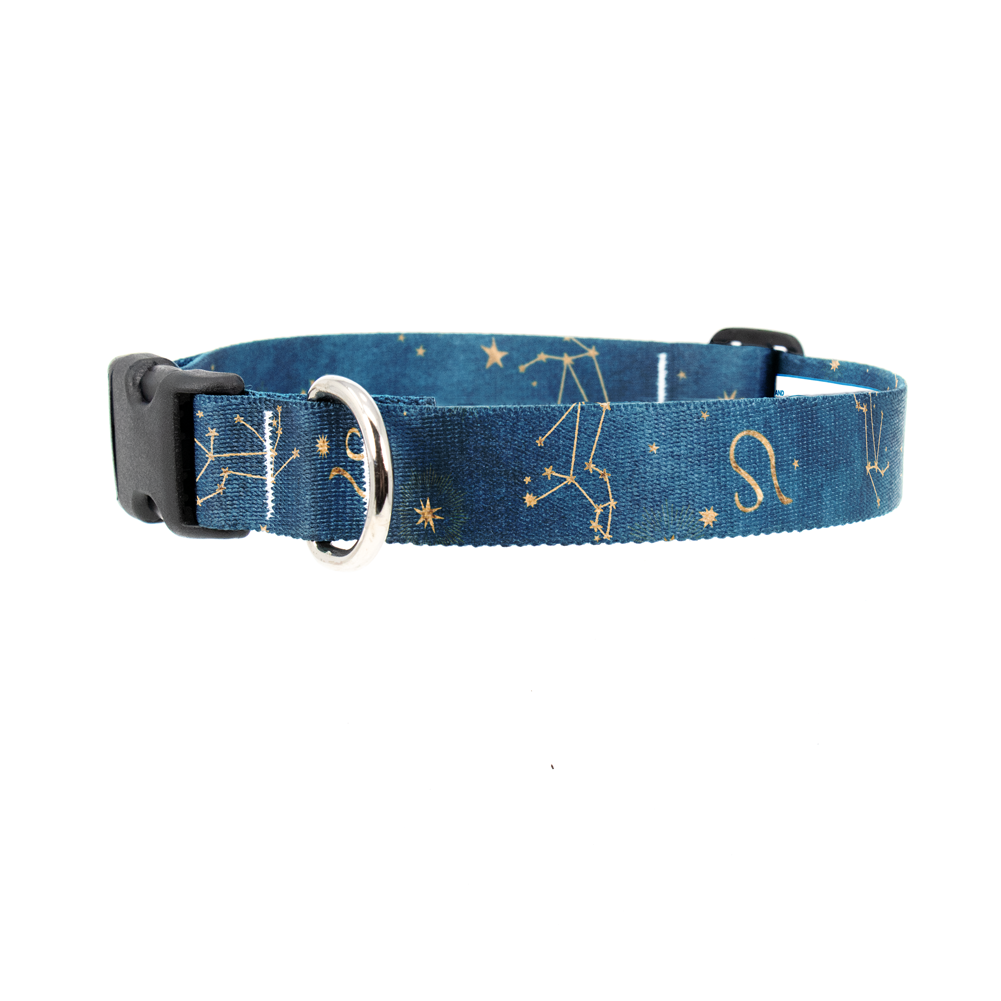 Zodiac Leo Dog Collar - Made in USA