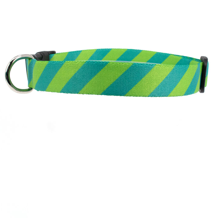 Buttonsmith Aqua Stripes Dog Collar - Made in USA - Buttonsmith Inc.