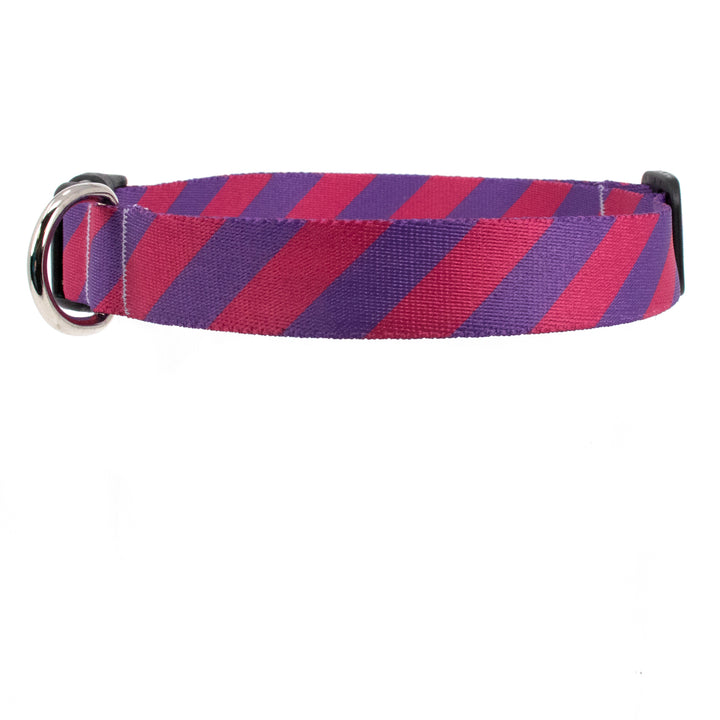 Buttonsmith Magenta Stripes Dog Collar - Made in USA - Buttonsmith Inc.