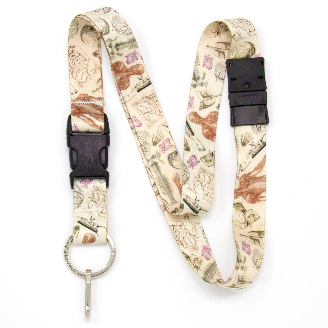 Buttonsmith Anatomy Breakaway Lanyard - Made in USA - Buttonsmith Inc.