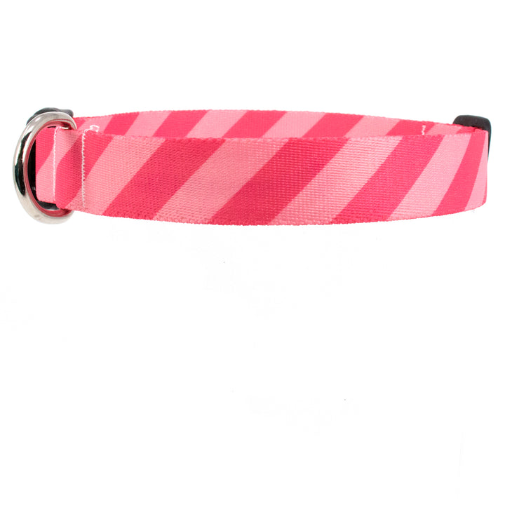 Buttonsmith Pink Stripes Dog Collar - Made in USA - Buttonsmith Inc.