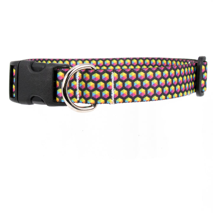 Buttonsmith Rainbow Hexes Dog Collar - Made in USA - Buttonsmith Inc.