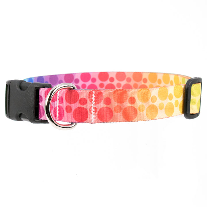 Buttonsmith Rainbow Dots Dog Collar - Made in USA - Buttonsmith Inc.