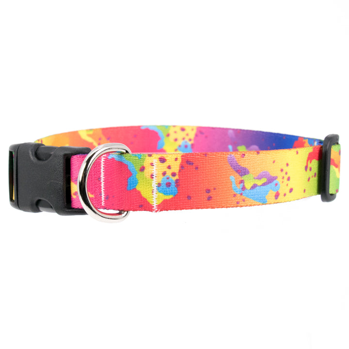 Buttonsmith Rainbow Camo Chip Dog Collar - Made in USA - Buttonsmith Inc.