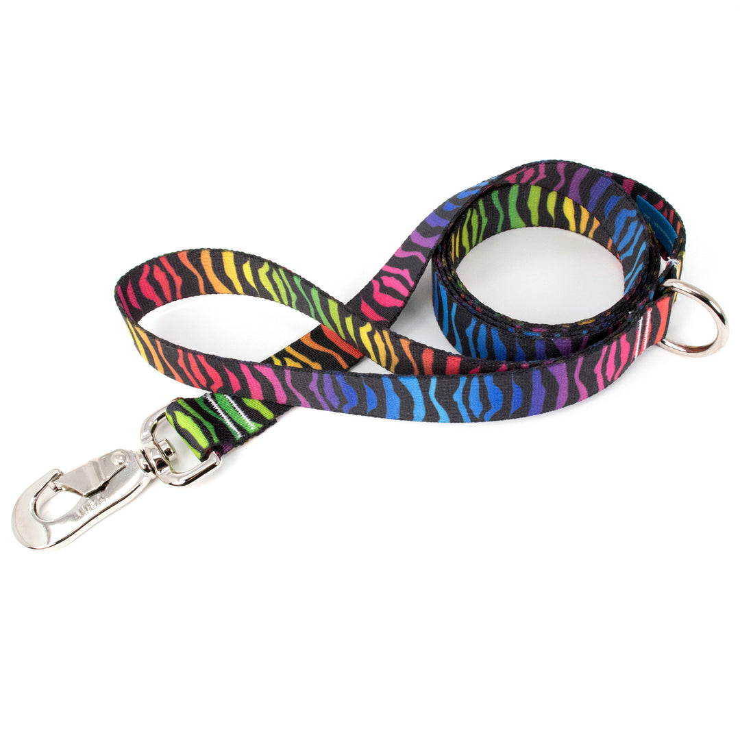 Buttonsmith Rainbow Zebra Dog Leash Fadeproof Made in USA - Buttonsmith Inc.