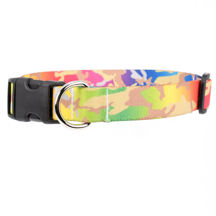 Buttonsmith Rainbow Camo Dog Collar - Made in USA - Buttonsmith Inc.