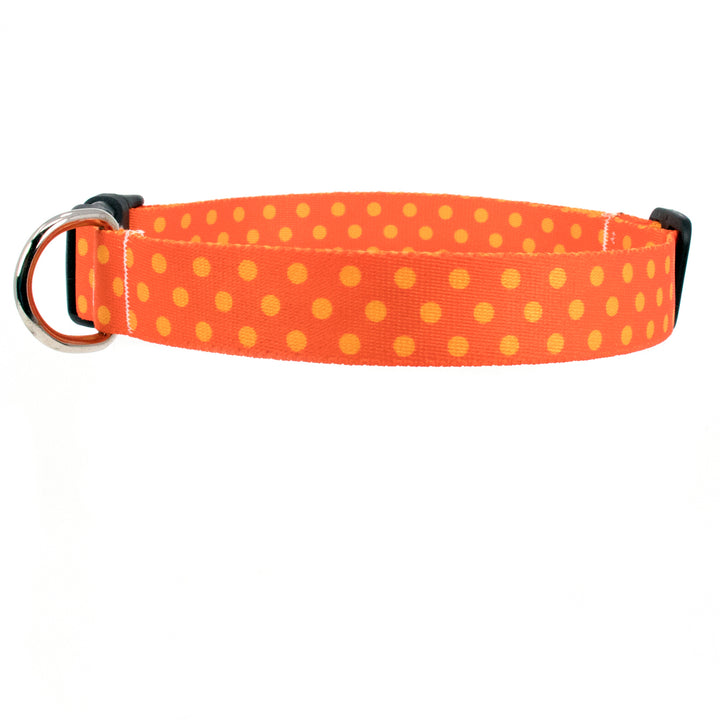 Buttonsmith Orange Dots Dog Collar - Made in USA - Buttonsmith Inc.