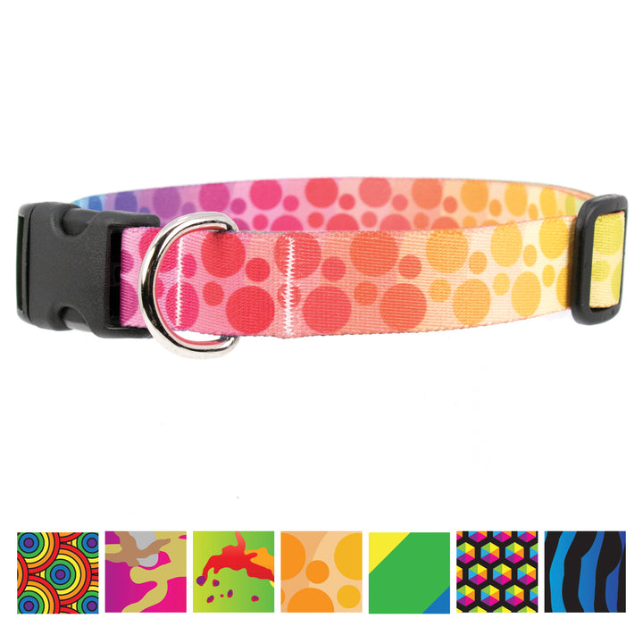 Buttonsmith Rainbow Dots Dog Collar - Made in USA - Buttonsmith Inc.