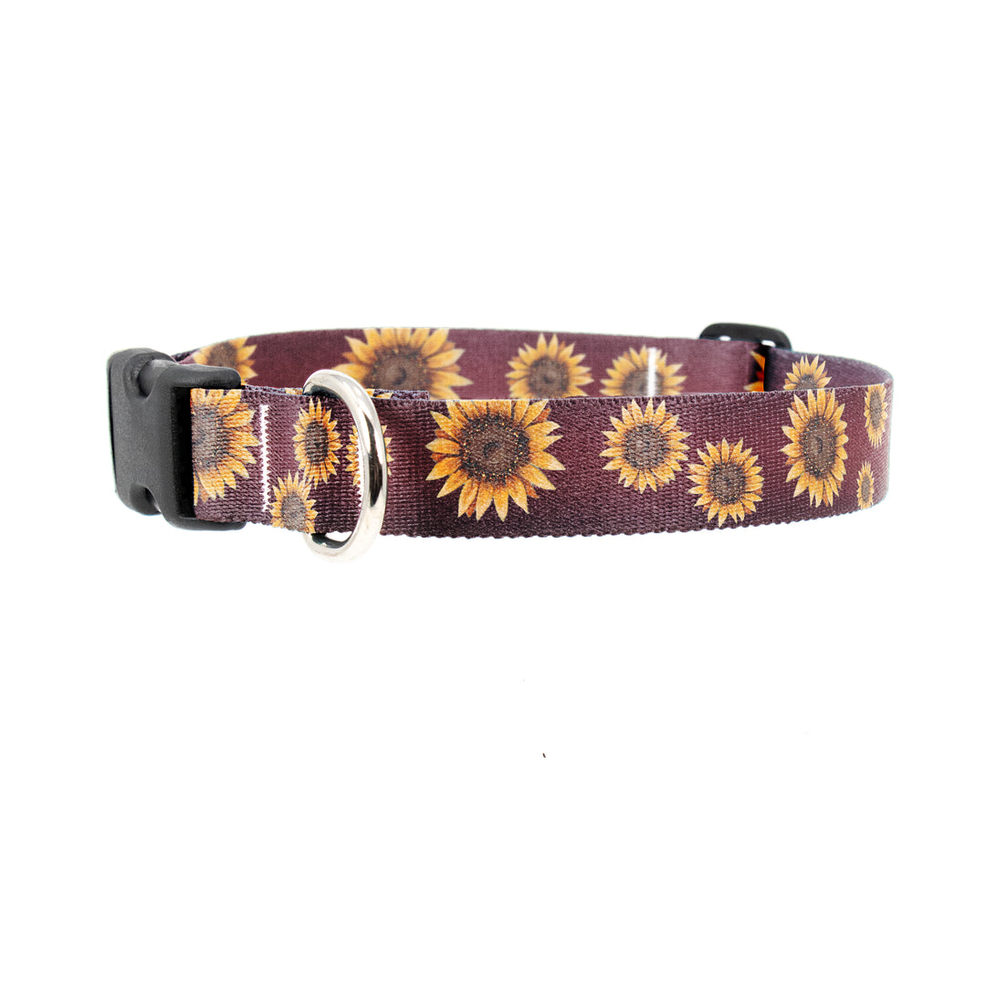 Buttonsmith McGovern Sunflower Dog Collar - Made in the USA - Buttonsmith Inc.