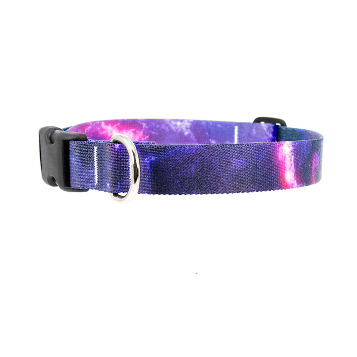 Buttonsmith Nebula Dog Collar - Made in the USA - Buttonsmith Inc.