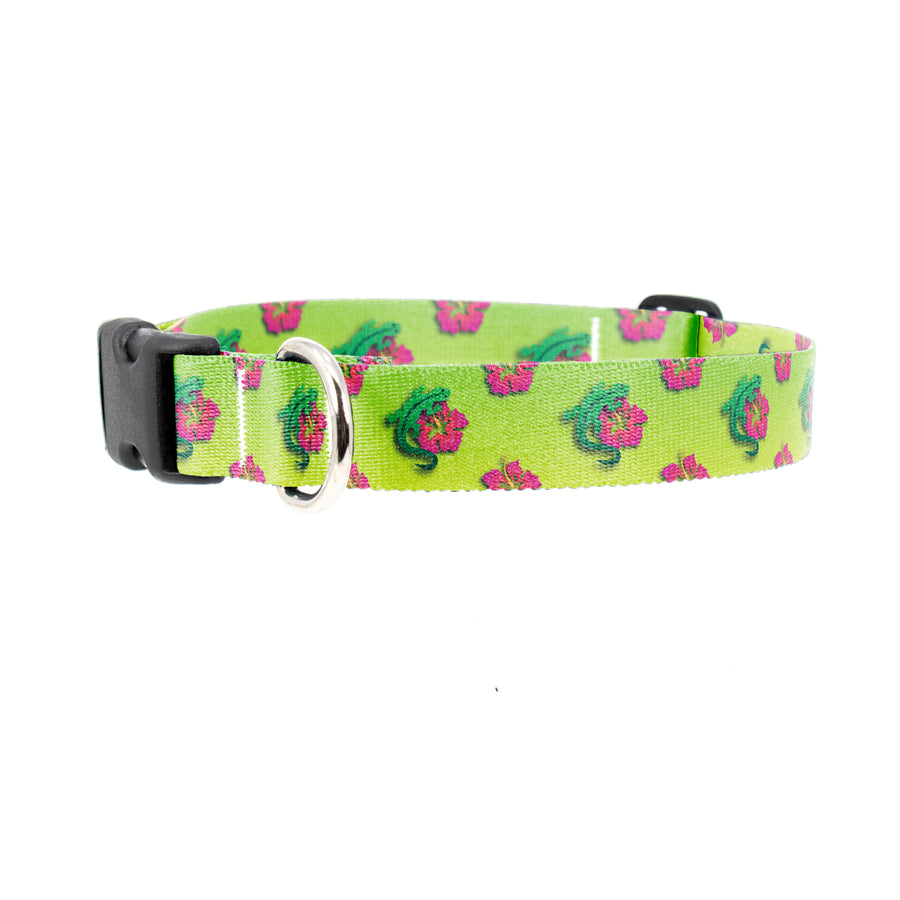 Buttonsmith Geckos Dog Collar - Made in the USA - Buttonsmith Inc.