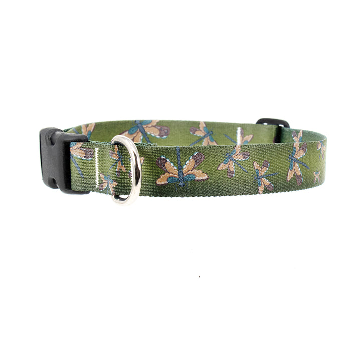 Buttonsmith McGovern Dragonflies Dog Collar - Made in the USA - Buttonsmith Inc.