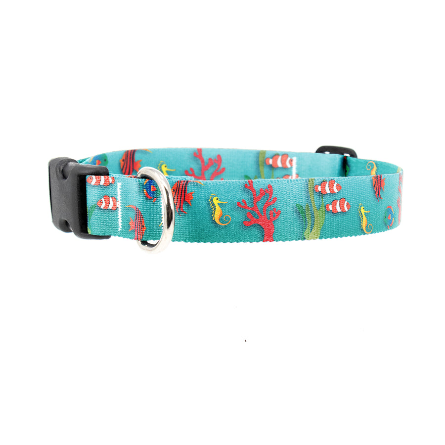 Buttonsmith Tropical Fish Dog Collar - Made in the USA - Buttonsmith Inc.