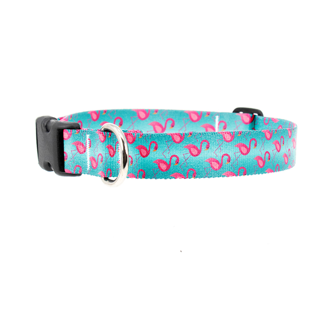 Buttonsmith Flamingos Dog Collar - Made in the USA - Buttonsmith Inc.