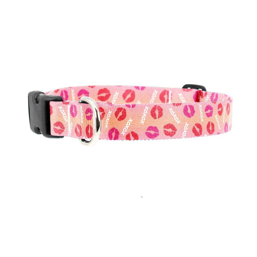 Buttonsmith Love and Kisses Dog Collar - Made in the USA - Buttonsmith Inc.