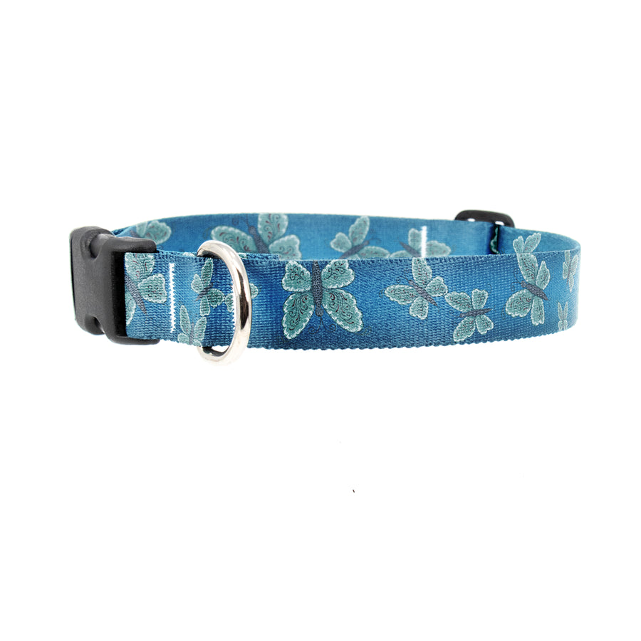 Buttonsmith McGovern Blue Butterflies Dog Collar - Made in the USA - Buttonsmith Inc.